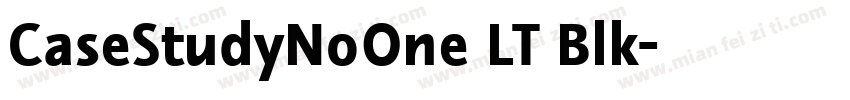 CaseStudyNoOne LT Blk字体转换